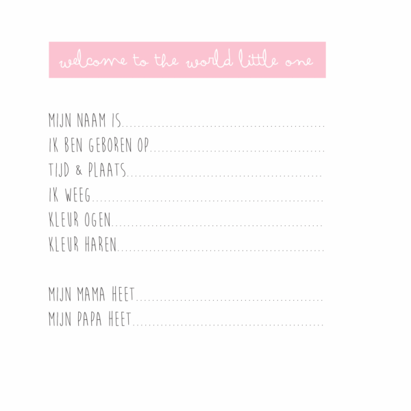 KIDOOZ Kraambezoekboek - Blush - Afbeelding 4