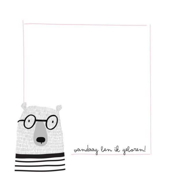 KIDOOZ Kraambezoekboek - Blush - Afbeelding 5