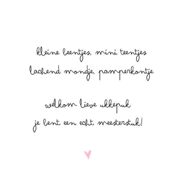 KIDOOZ Kraambezoekboek - Blush - Afbeelding 9