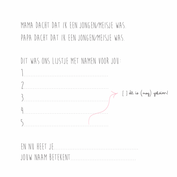 KIDOOZ Kraambezoekboek - Blush - Afbeelding 10