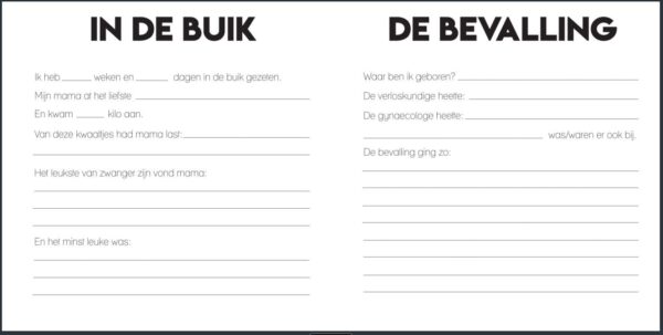 Studio Ins & Outs Kraambezoekboek ‘Heel veel liefs’ - binnenkant 2 - invulboekjes.nl