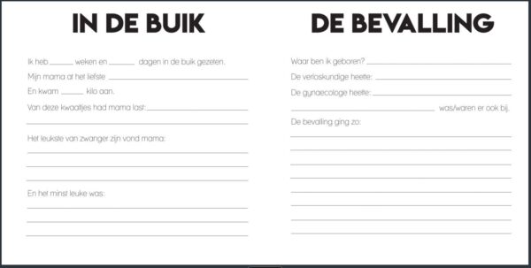 Studio Ins & Outs Kraambezoekboek ‘Heel veel liefs’ - binnenkant 2 - invulboekjes.nl