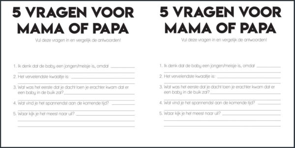 Studio Ins & Outs ‘Ik ben zwanger’ - binnenkant 10 - invulboekjes.nl