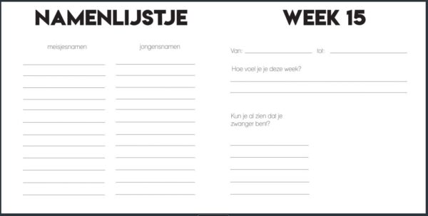 Studio Ins & Outs ‘Ik ben zwanger’ - binnenkant 11 - invulboekjes.nl