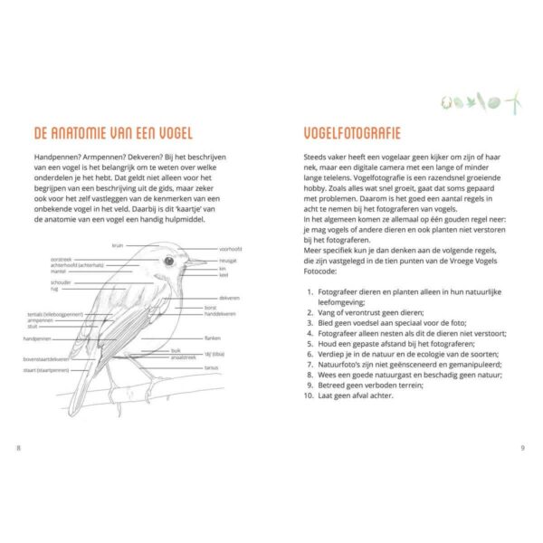 Vroege vogels - Waarnemingsdagboek 'vogels' binnenzijde - invulboekjes.nl