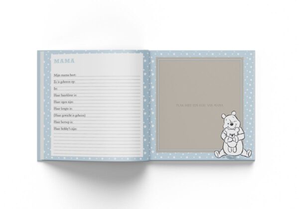 Disney Invulboek Baby's eerste jaar - Boy - binnenkant 2 - invulboekjes.nl