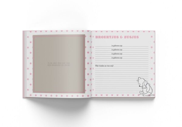 Disney Invulboek Baby's eerste jaar - Girl - binnenkant 2 - invulboekjes.nl
