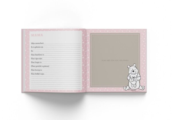 Disney Invulboek Baby's eerste jaar - Girl - binnenkant 3 - invulboekjes.nl