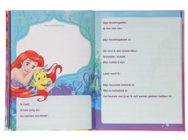 Disney Prinsessen Vriendenboek -binnenkant- invulboekjes.nl