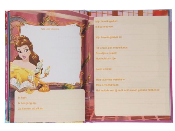 Disney Prinsessen Vriendenboek - invulboekjes.nl