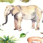 Kidooz Brabbels & uitspraken - Safari - sfeerfoto 3 - invulboekjes.nl