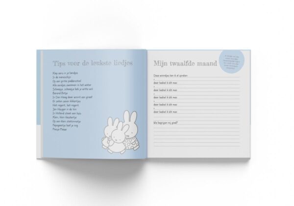 Nijntje Baby's eerste jaar - Blauw - binnenkant 2 - invulboekjes.nl
