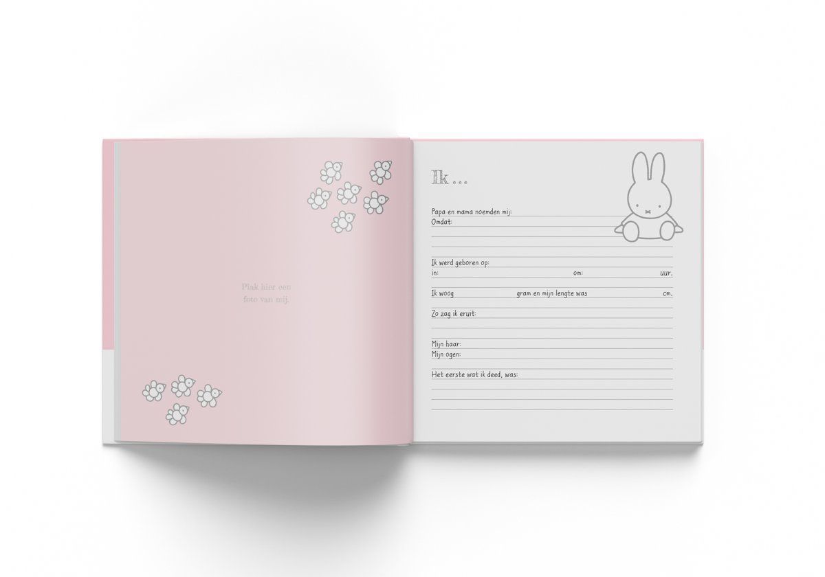 Vlucht Tegen de wil Voor u Nijntje Baby's eerste jaar - Roze Kopen? ⋆ Invulboekjes.nl