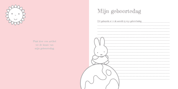 Nijntje Baby's eerste jaar - Roze - Afbeelding 6