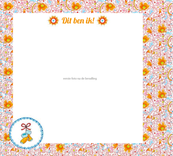 Pauline Oud - Mijn kraambezoekboek - Afbeelding 18