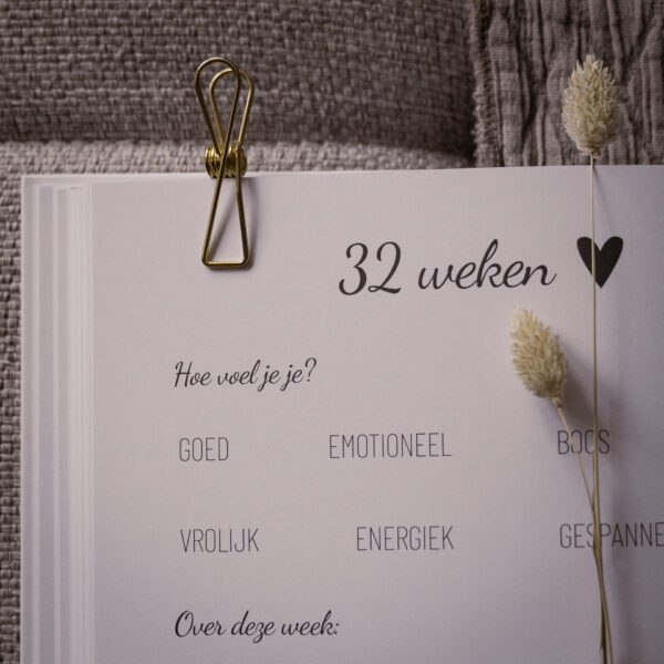 Lifestyle2love Zwanger (9)