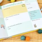 Memorybooks by Pauline - Kraambezoekboek - binnenkant - invulboekjes.nl