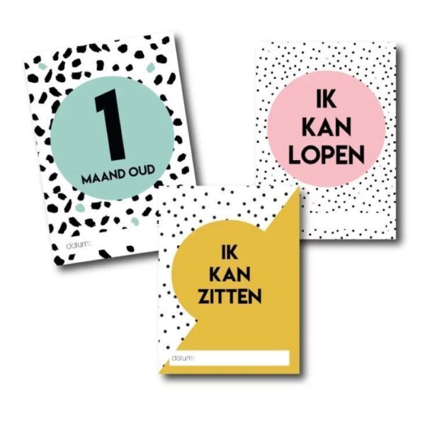 Studio Ins & Outs Mijlpaalkaarten set - Baby's eerste jaar - invulboekjes.nl