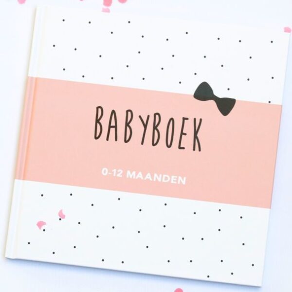 Huisje no.56 - Babyboek 0-12 maanden - Roze