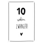 Huisje no.56 - Mijlpaalkaarten set Zwangerschap - voorkant