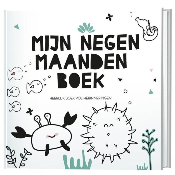 Invulboek Mijn negen maanden boek - invulboekjes.nl - 9789463543842
