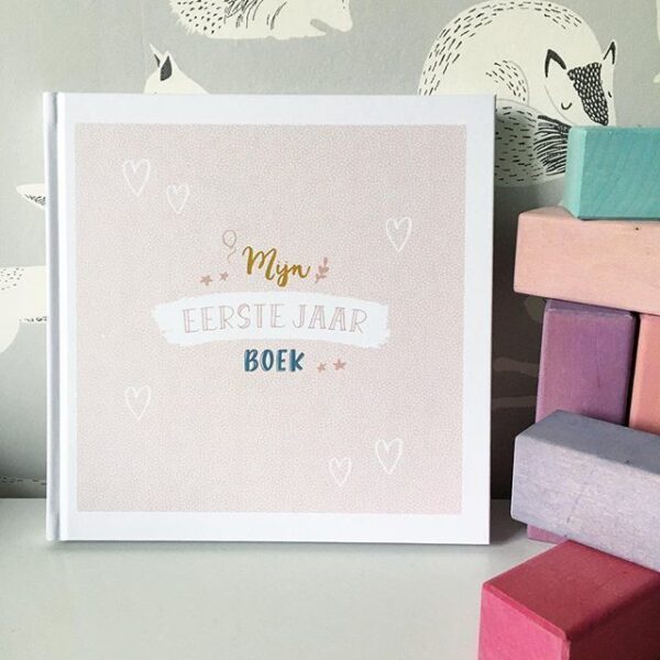 Maan Amsterdam – Mijn eerste jaar boek – Roze - invulboekjes.nl