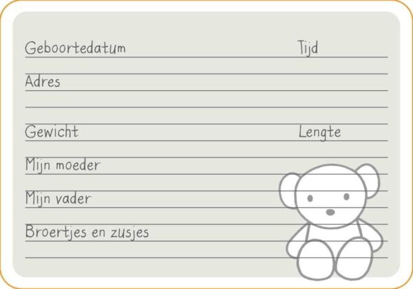 Nijntje Kraambezoekkaarten - Afbeelding 3