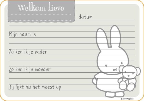 Nijntje Kraambezoekkaarten - Afbeelding 4