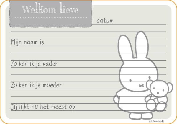 Nijntje Kraambezoekkaarten - Afbeelding 8