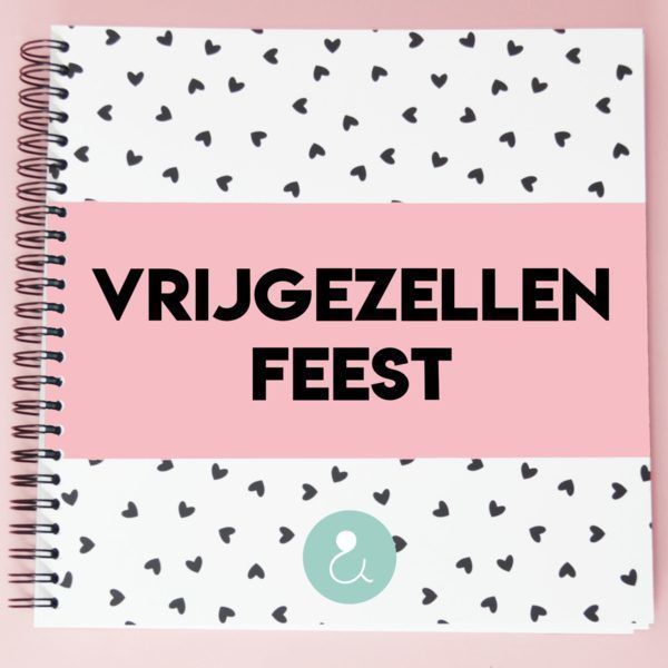 Studio Ins & Outs 'Vrijgezellenfeest' - Roze - invulboekjes.nl