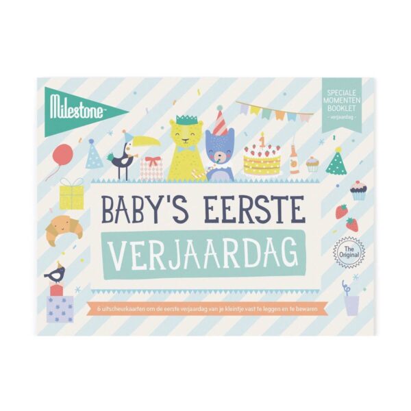 Milestone™ Baby's eerste verjaardag - invulboekjes