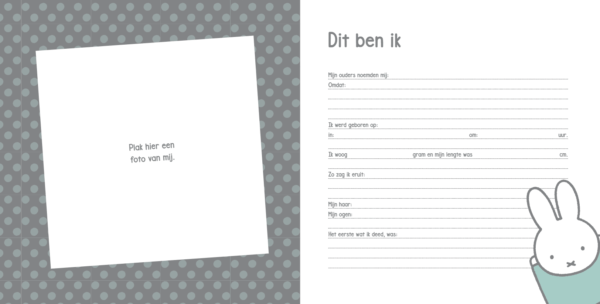 Nijntje Baby's eerste jaar - Afbeelding 7
