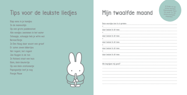 Nijntje Baby's eerste jaar - Afbeelding 9