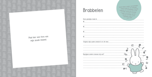Nijntje Baby's eerste jaar - Afbeelding 2