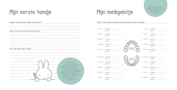Nijntje Baby's eerste jaar - Afbeelding 3