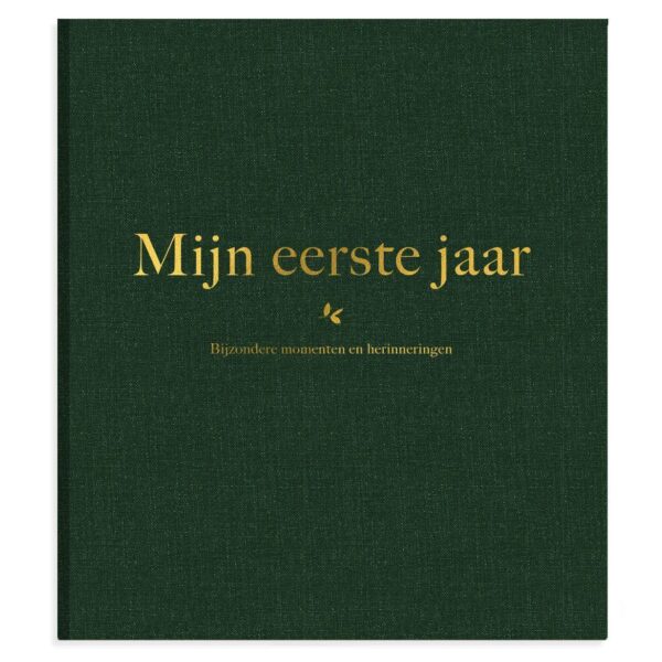 Milestone Mijn eerste jaar album