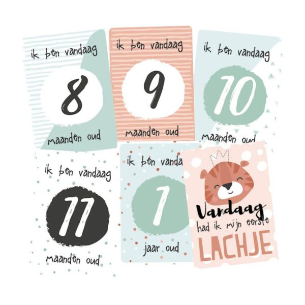 Tante Kaartje - Baby Mijlpaalkaarten set - Afbeelding 4