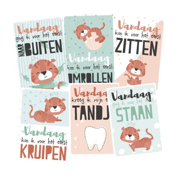Tante Kaartje - Baby Mijlpaalkaarten set - Afbeelding 5