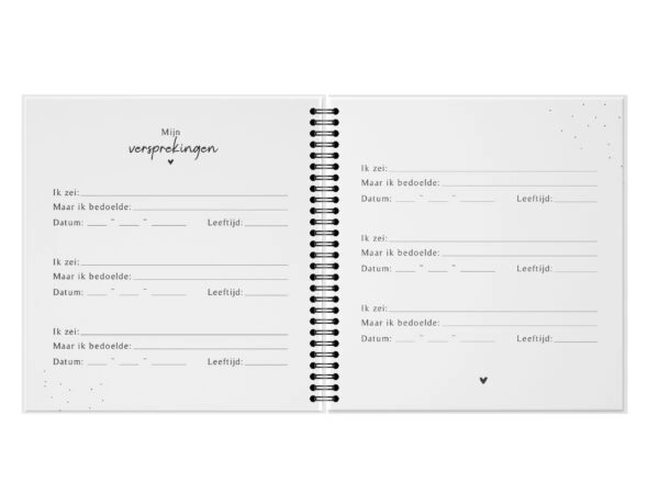 Fyllbooks Uitsprakenboekje (10)