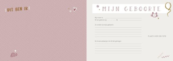 Maan Amsterdam Universe - Mijn verjaardagenboek - Roze - Afbeelding 9
