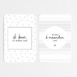 Fyllbooks Mijlpaalkaarten Set Baby Mijn Eerste Jaar (5)