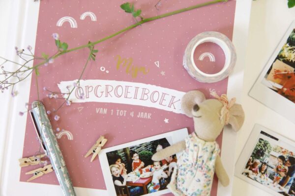 Maan Amsterdam Universe - Mijn opgroeiboek - Roze - Afbeelding 18