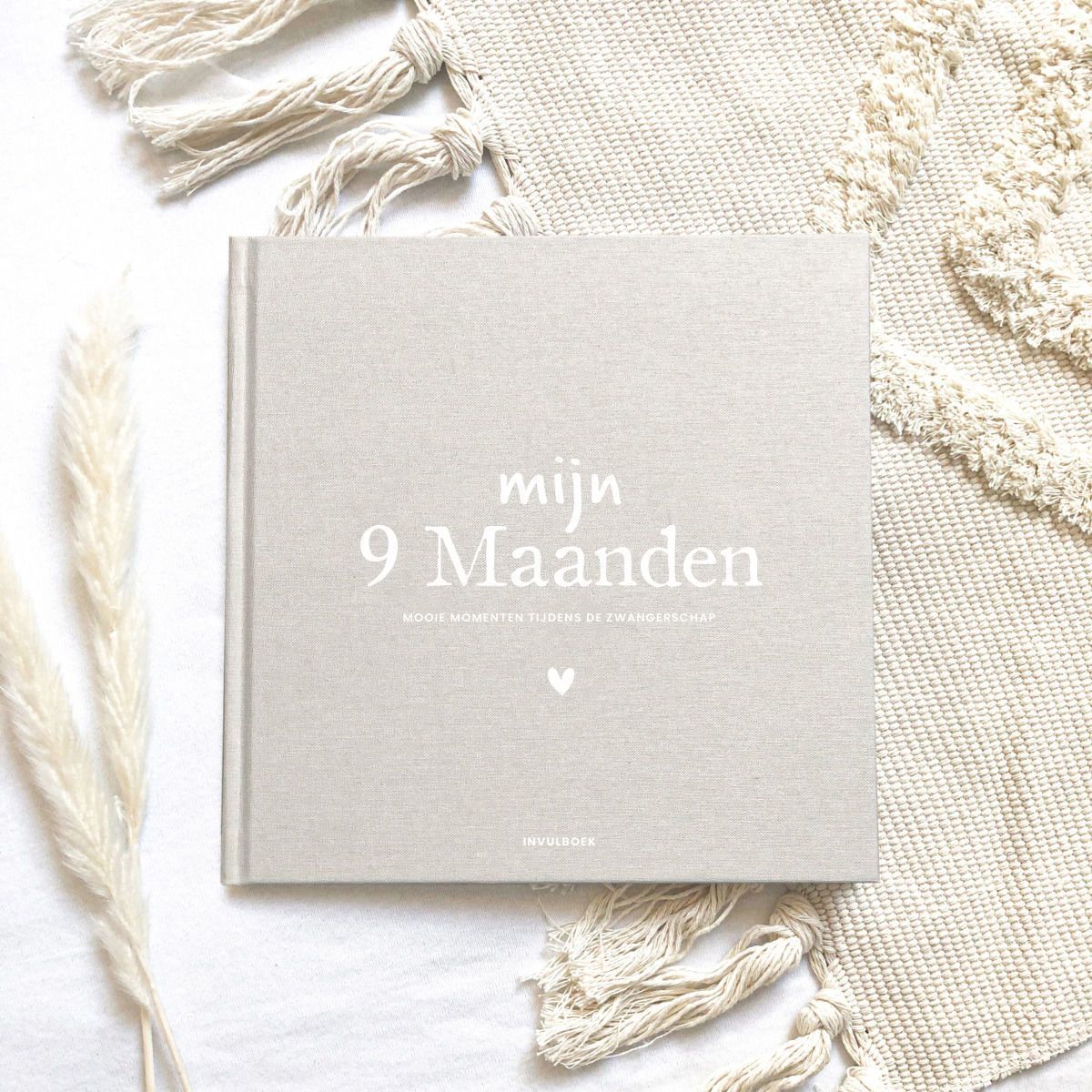 Invulboek mijn 9 maanden zwangerschap