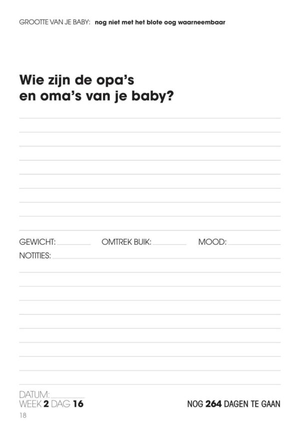 Zwangerschapsdagboek Elke dag een vraag - Afbeelding 10