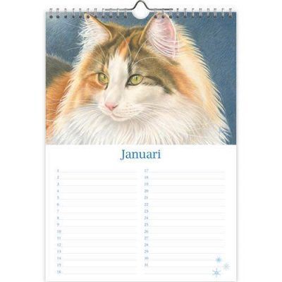 Franciens Katten Verjaardagskalender ‘Tibbe’ A4 Franciens Katten kalender