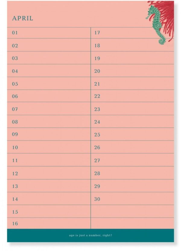 &INK Birthday calender - Aqua - Afbeelding 4
