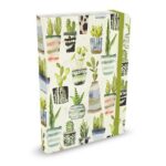 Peter Pauper Notitieboek Watercolor Succulents - A5 (mid size)