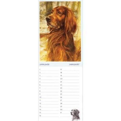 Rien Poortvliet Verjaardagskalender Honden A4 Dieren kalenders