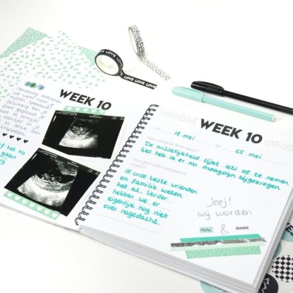 Studio Ins & Outs Fancy achtergronden #4 - Mint - Afbeelding 3