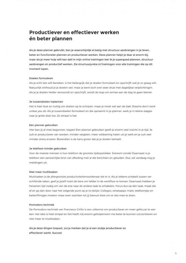 Structuurjunkie Planner (A4) - Blauw - Afbeelding 5